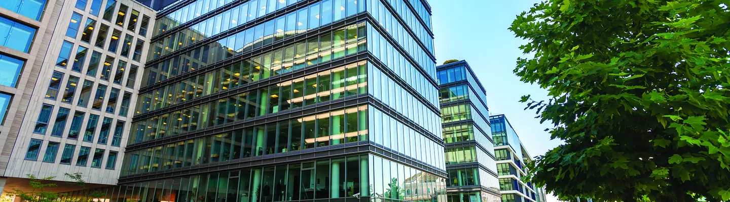 stock image of the outside of a glass office building near trees under a blue sky