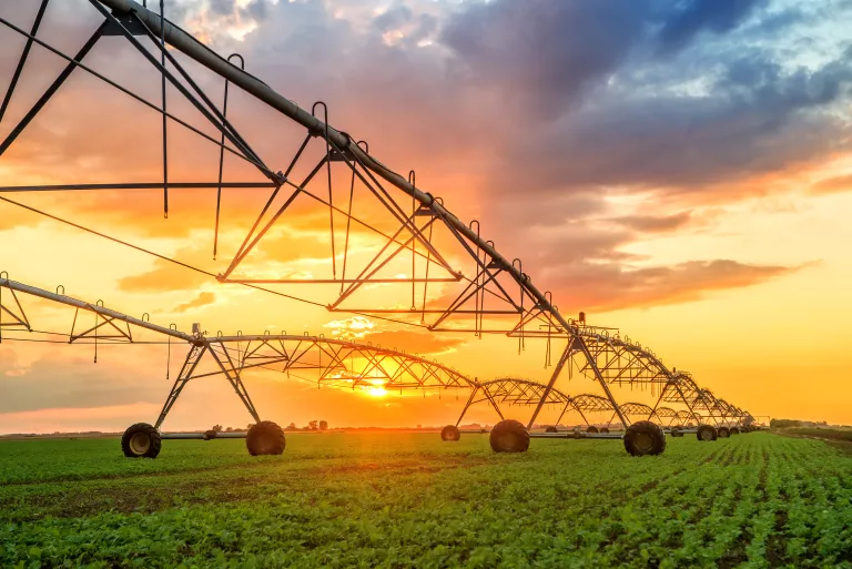 farming at sunset