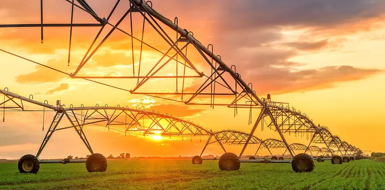 agriculture