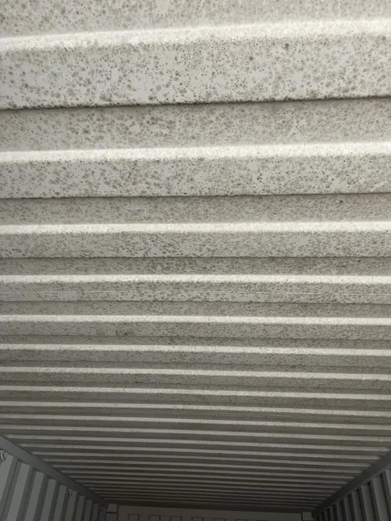inside roof