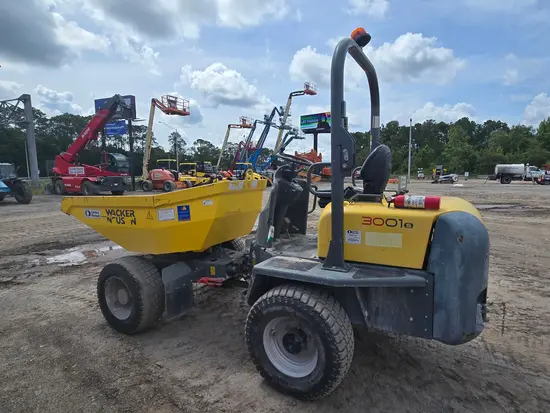 2021 Wacker Neuson 3001