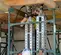 Hydraulic Jack Range