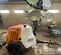 2020 Magnum Pro MLT6SM Portable Light Tower