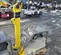 2023 Wacker Neuson DPU5545He Vibratory Plate Compactor