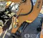 2020 Case CX17C Mini Excavator