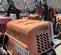2020 Magnum Pro MLT6SM Portable Light Tower
