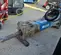 2019 Epiroc EC 100T Attachment