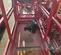 2019 MEC MICRO 19 Scissor Lift