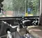 2021 Takeuchi TB240C Mini Excavator