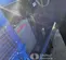 2024 Kustom Power Solutions KPS30 LPNG Generator