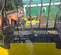 2022 Wacker Neuson DV100