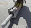 2022 Epiroc MB 1650 Attachment