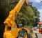 2019 JCB 512-56 S Forklift