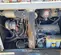2022 Wacker Neuson G25 T4F Diesel Generator