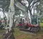 2021 Takeuchi TB290C Mini Excavator