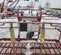 2017 Skyjack SJ40T Boom Lift
