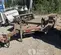 2015 JLG 1014 Trailer