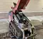 2018 Ditch Witch SK800 Track Loader