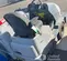 2017 Clarke SW8000 Sweeper