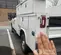 2022 Ford F250REGXLG4WD Truck