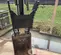 2021 Takeuchi TB290C Mini Excavator