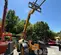 2018 JCB 509-42 Forklift