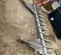 2021 ROCKLAND RF-3 Attachment