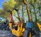 2018 JCB 512-56 S Forklift
