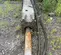2021 Epiroc EC 120T Attachment