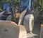 2021 Case 621G Wheel Loader