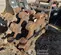 2020 Americ DC-24BWP Compaction Attachment